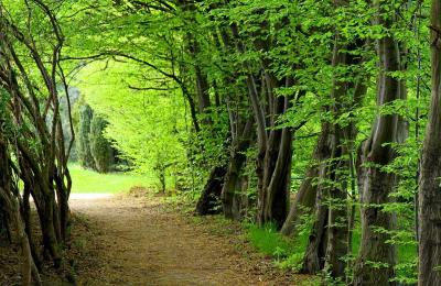 میراث طبیعی چیست؟